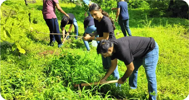 Volunteers planting trees together in green plantation area